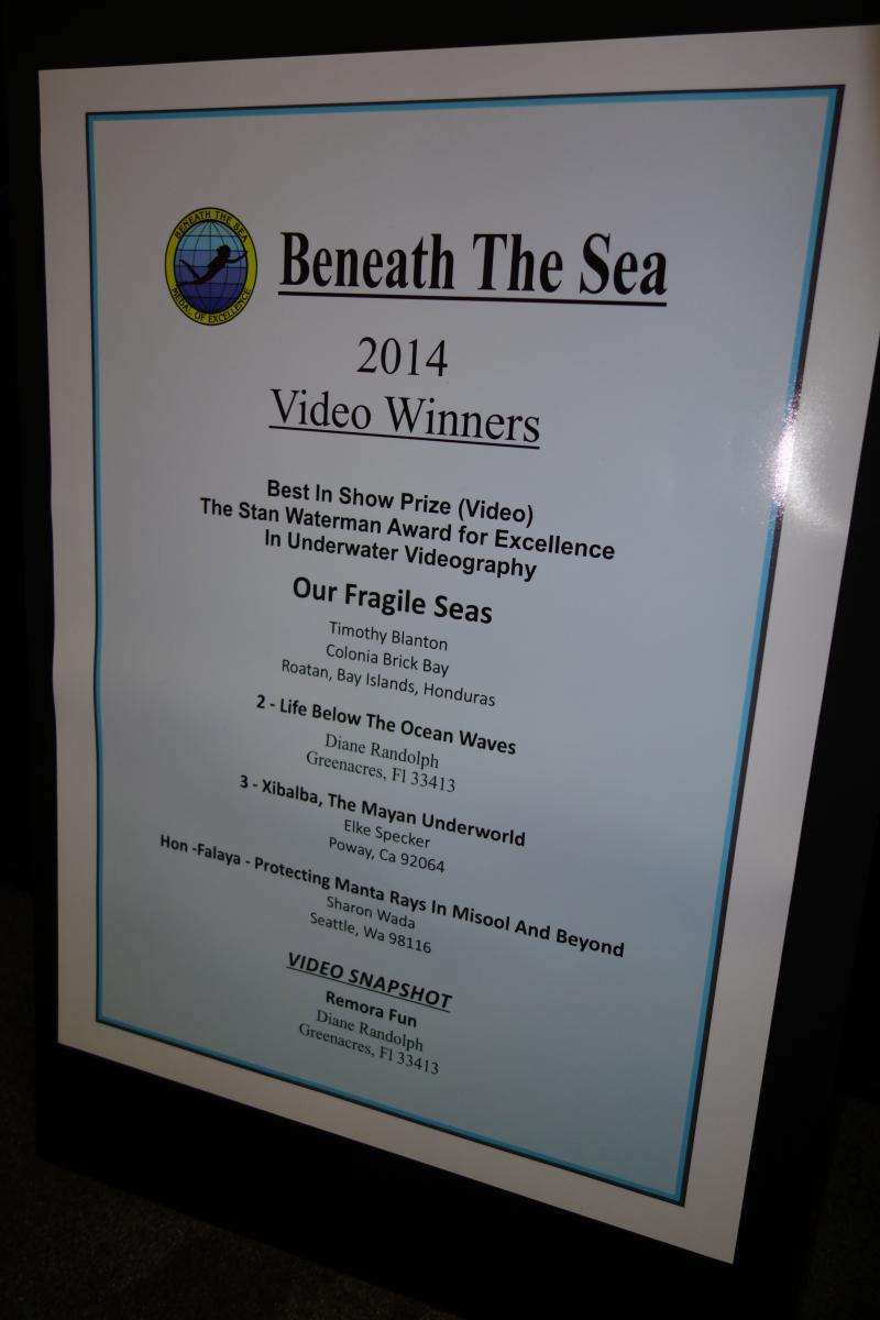 Award for Excellence 2014