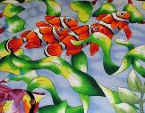 Clown Fish in Kelp