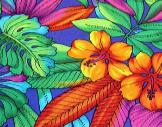 Jungle Hibiscus