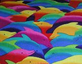 Colorful Dolphins