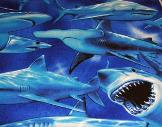 Big Sharks