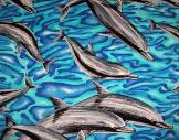 Dolphin Dance