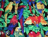 Exotic Birds
