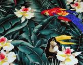 Parrots in Jungle