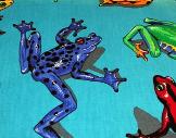 Big Frogs