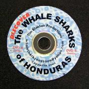 Discover the Whalesharks of Honduras, Utila and Roatan